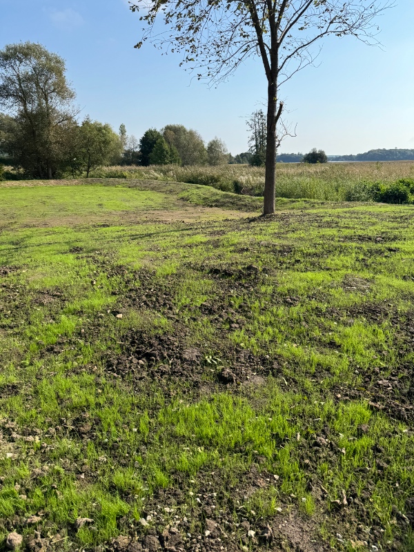 Plæning af have og fjernelse af sten - montering af robotkabel