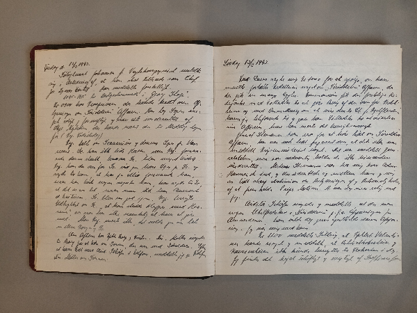 Transskription af dagbog.