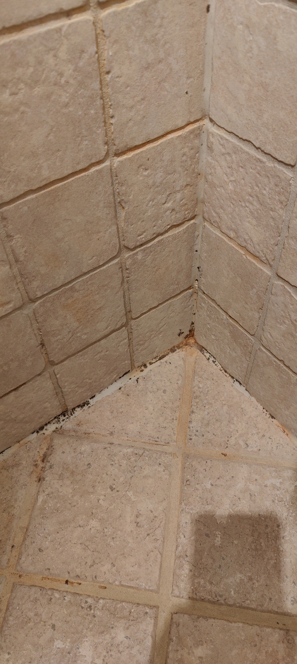 Hej,   Udføre I udskiftning af fuge i en bruseniche?