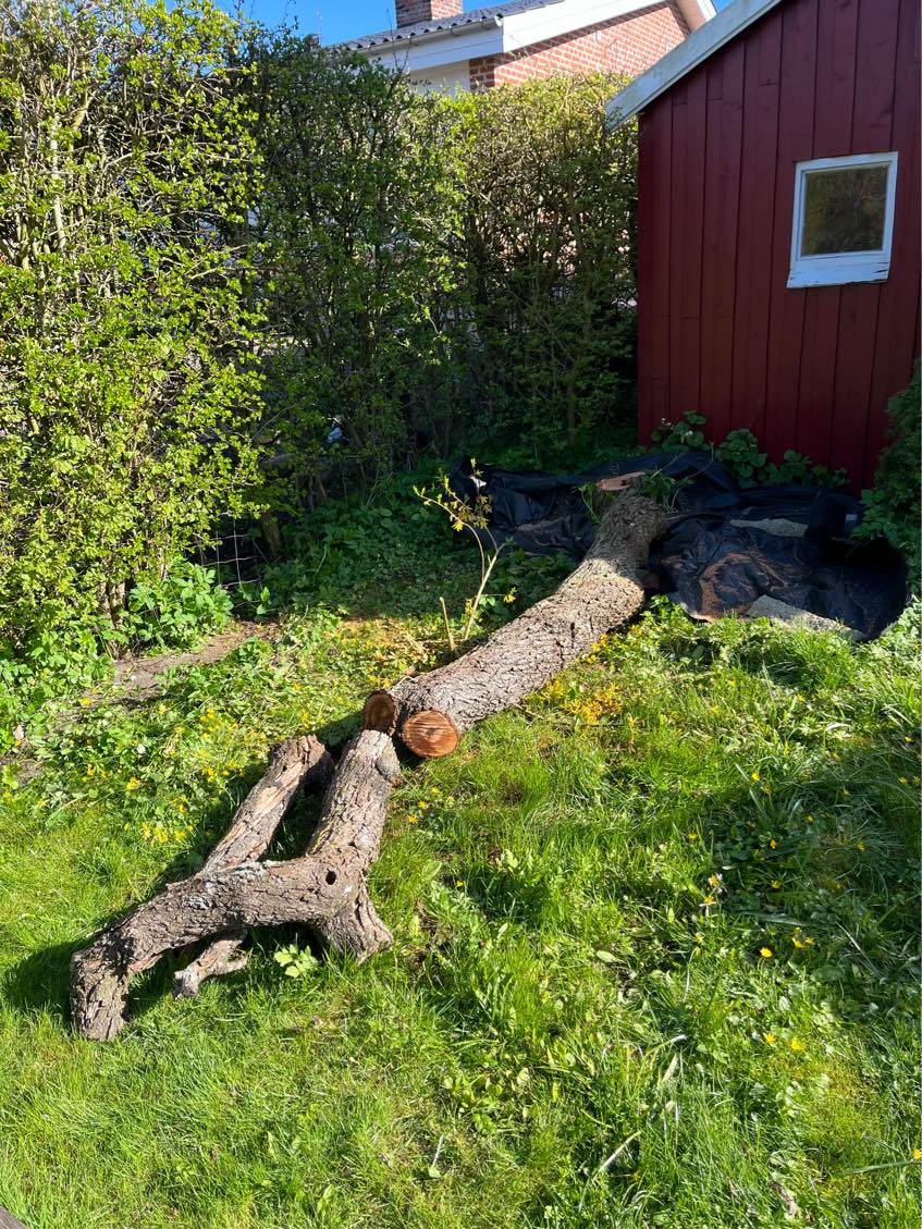 Bortskaffe træ m.m.