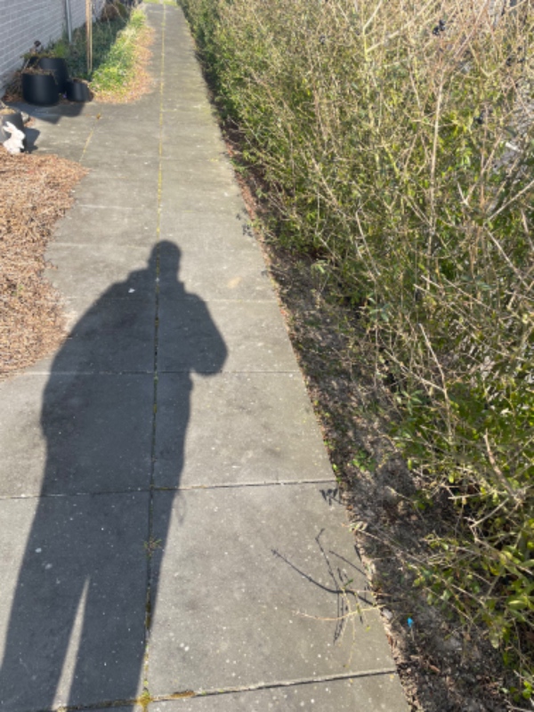 Lægge fliser som kant til bed