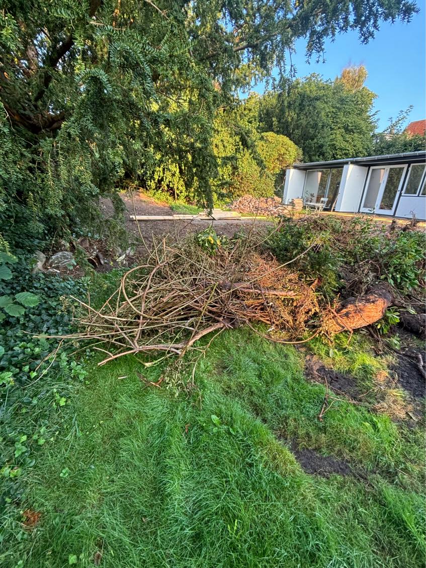 Fjernelse af havesten og haveaffald