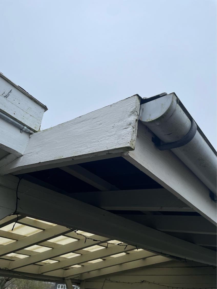 Sommerhus råd i træ m m