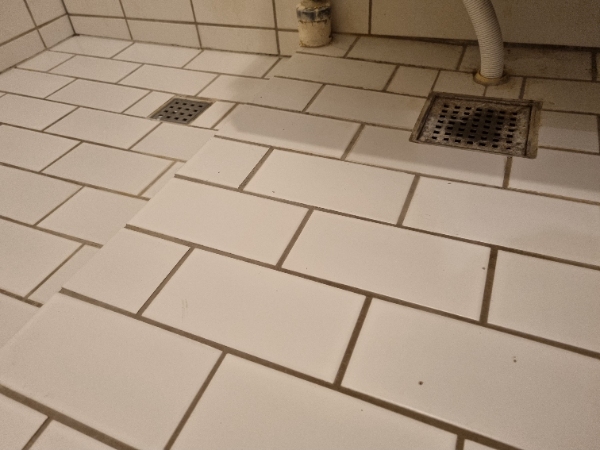 Rengøring af badeværelse inkl. afløb