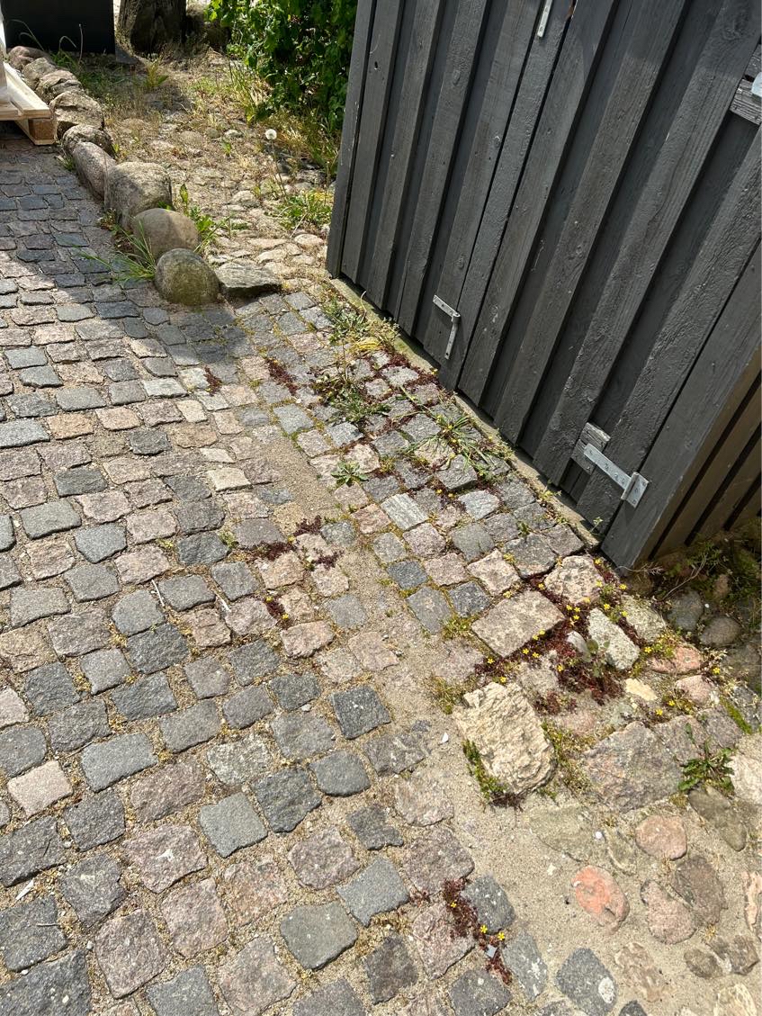 Havearbejde i forhave/indkørsel