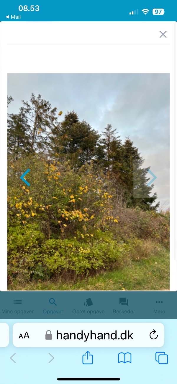 Toppen tages af en hæk på ca. 14 m. samt haveaffald køres væk