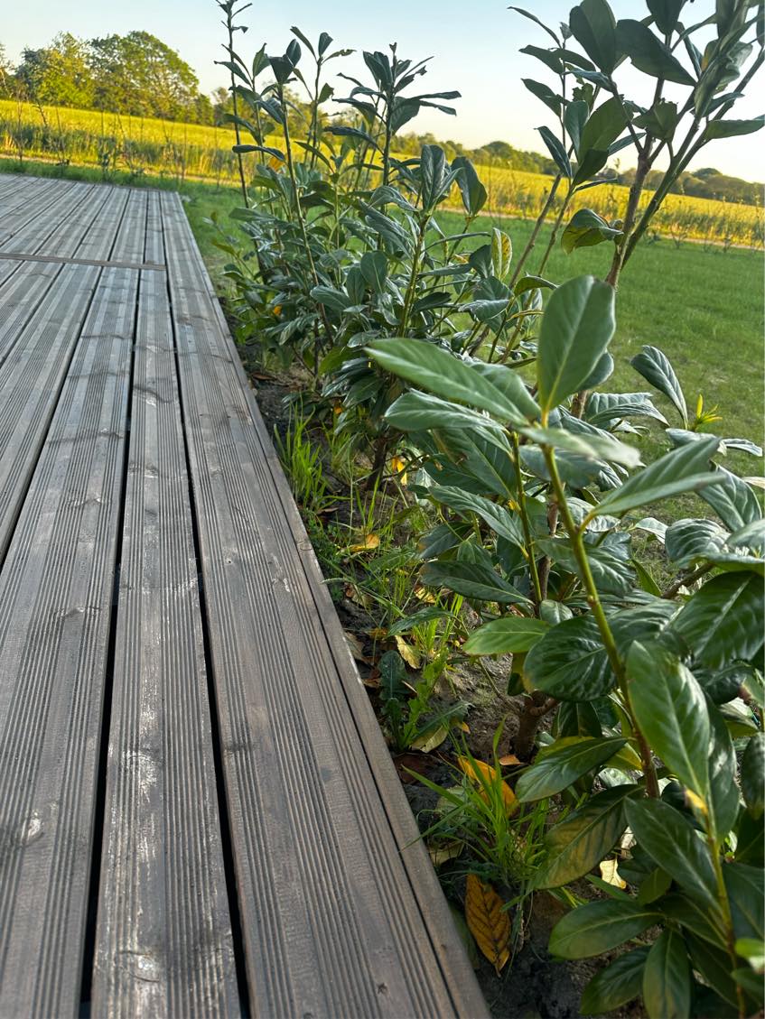 Ukrudt ved 2 langsider + lidt mellem fliser