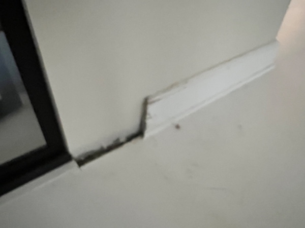 Opsætning af 1.5 m panel med liste og maling samt  mindre maler reperationer