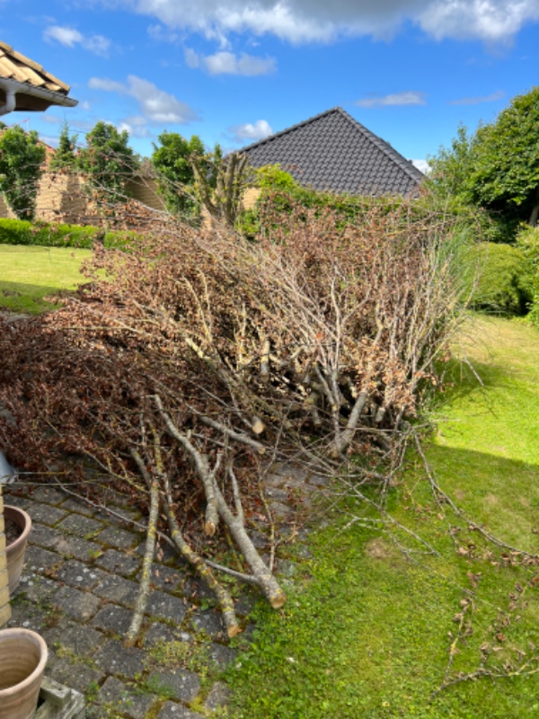 Bortskaffelse af affald og møbler