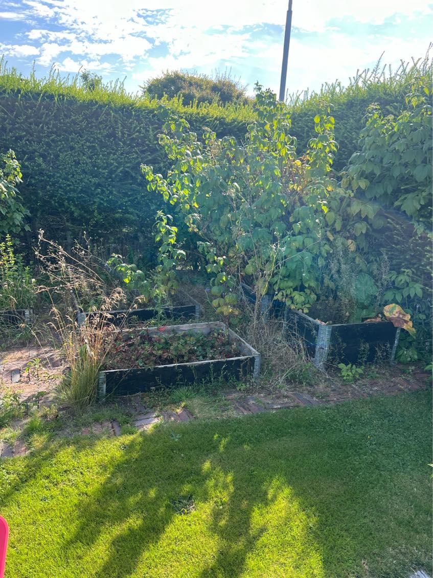 Havearbejde - ukrudtsbekæmpelse