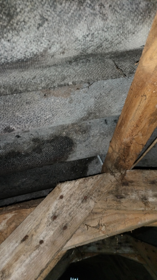 Tætning eller udskiftning af tagskruer på eternittag