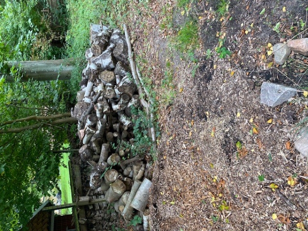 bøg & birketræ skal saves og kløves til brænde - en pæn stak