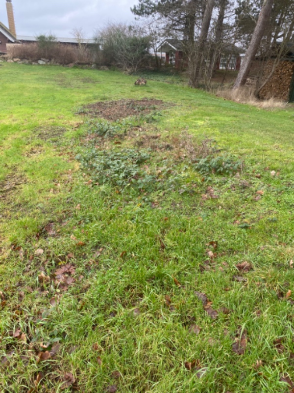 Jeg skal have lagt nye fliser samt fræset et bed og kørt nyt jord på i mit sommerhus i Falsled