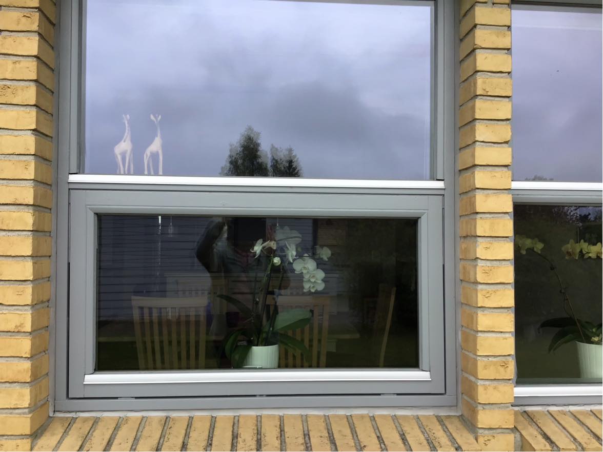 Fuger omkring vinduer - dør