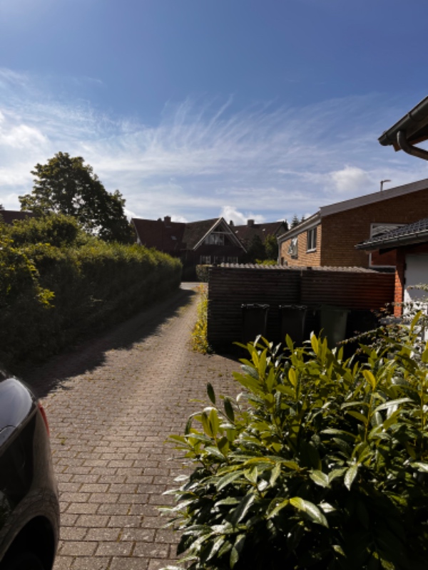 Have ordnes og storskrald fjernes