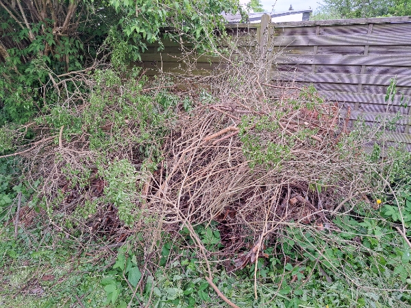 Haveaffald og planker bortskaffelse