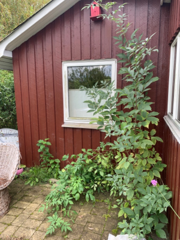 Montering af terrassedør i en kolonihavehus