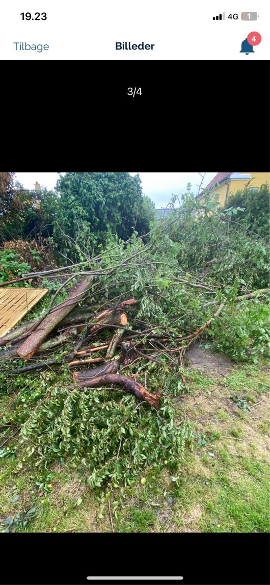 Bortførsel af haveaffald træer og store grene