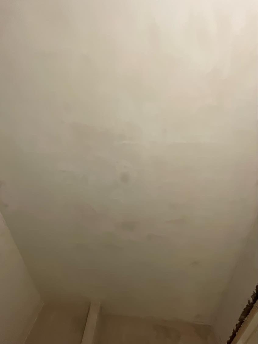 Microcement rettelser