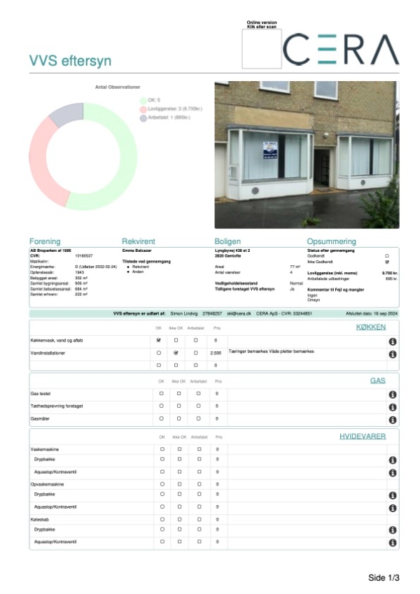 edberedning af vvs rapport