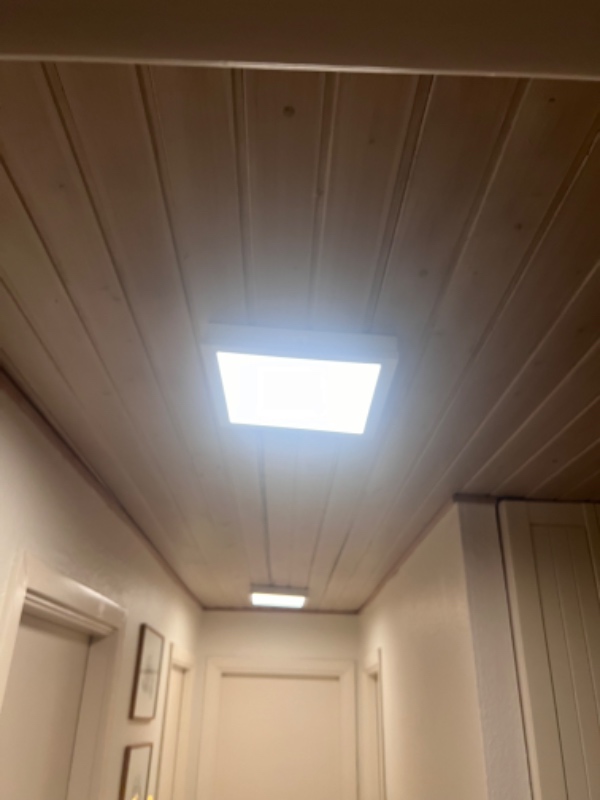 Nedtagning af træloft og opsætning af nyt træloft