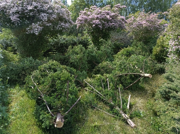 Udbæring samt bortkørsel af takshæk