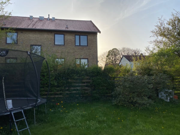 klippe perimeter hæk