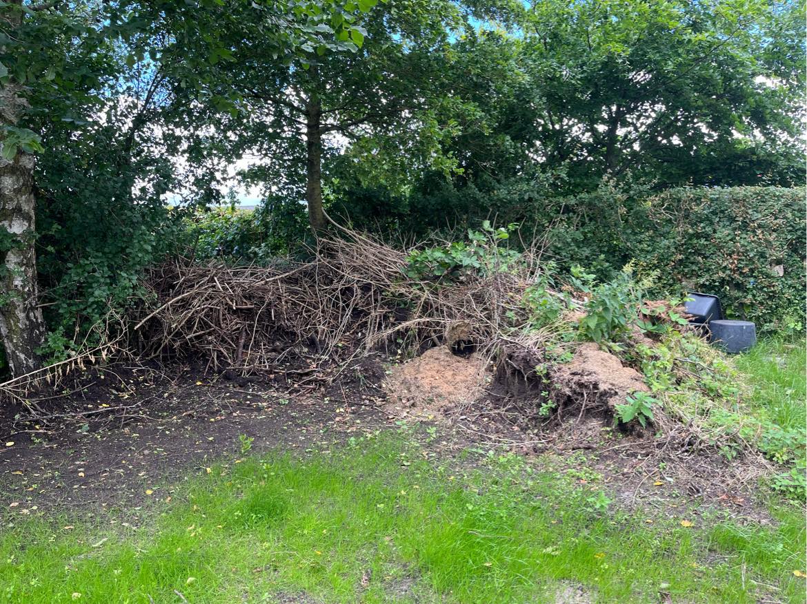 Bortskaffelse af jord og grene