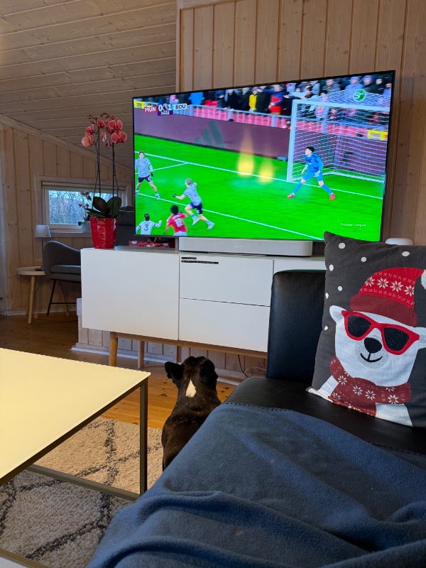 Lægges et parkerings areal 7x3metel m sorte graver, gerne med dug der holder ukrudtet i skak.