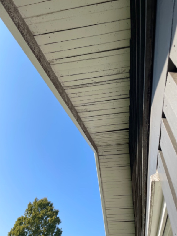 Nedvask af træværk på træhus