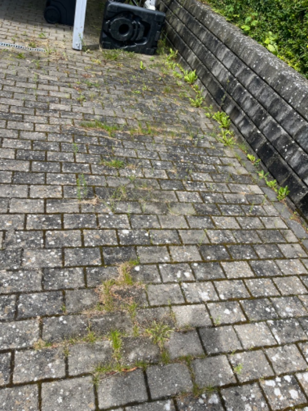 Ukrudtsfjerning og kantstikning