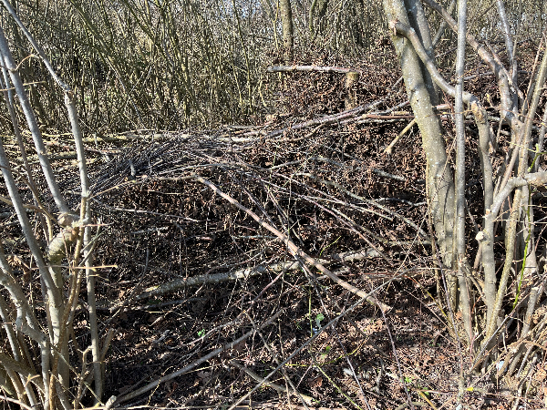 Afhentning af haveaffald