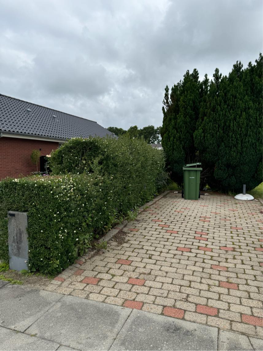 Hækkeklipning (liguster), fjernelse af ukrudt i og under hæk samt bortskaffelse.