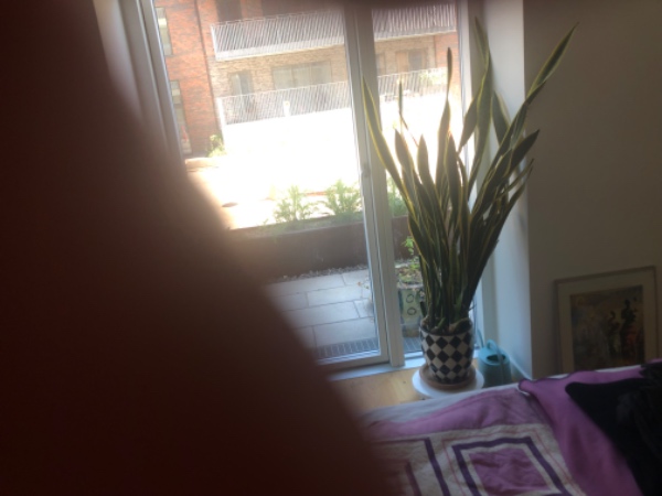 Vinduespudsning i lejlighed idag