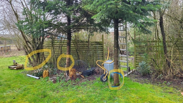 2 grantræer + 1 vildæbletræ skal fældes.