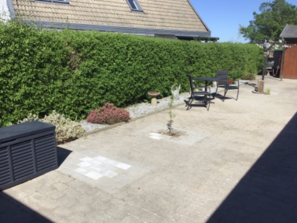 Hækklipning og buskbom-trimning