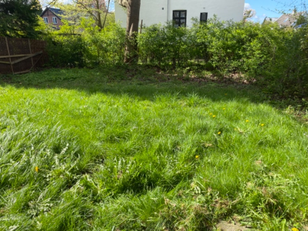 Græsslåning og ukrudtsrydning