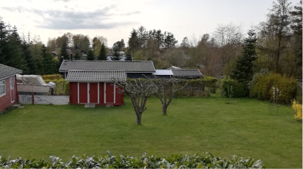 Græsslåning af have