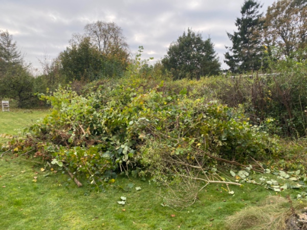 Bortkørsel af haveaffald