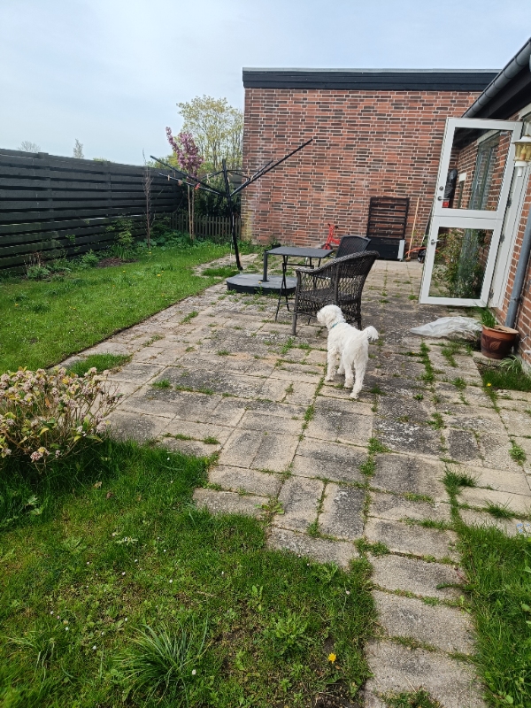 Fjernelse af ukrudt, i have og mellem fliser.Slået græs