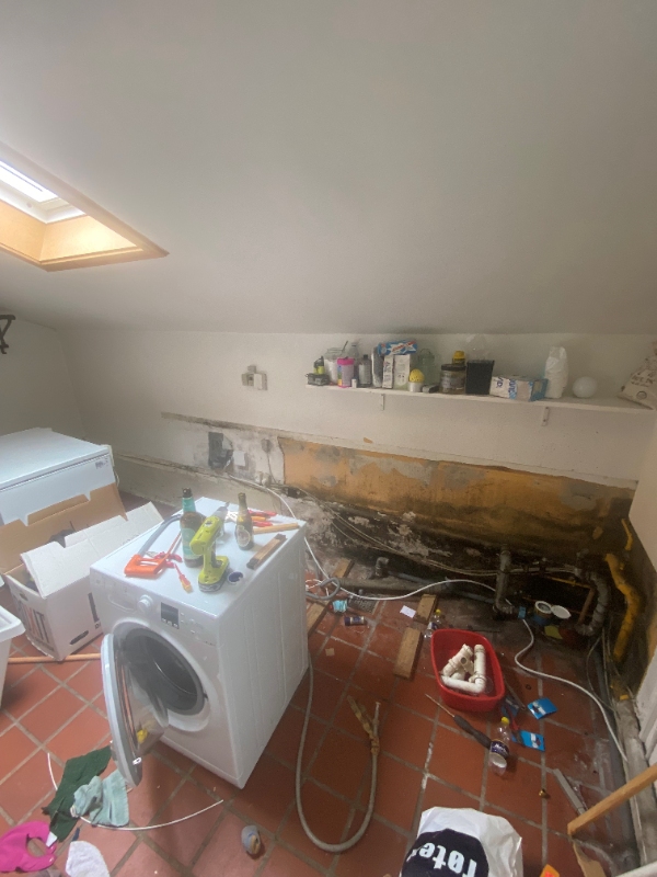 Sanering af skimmelsvamp