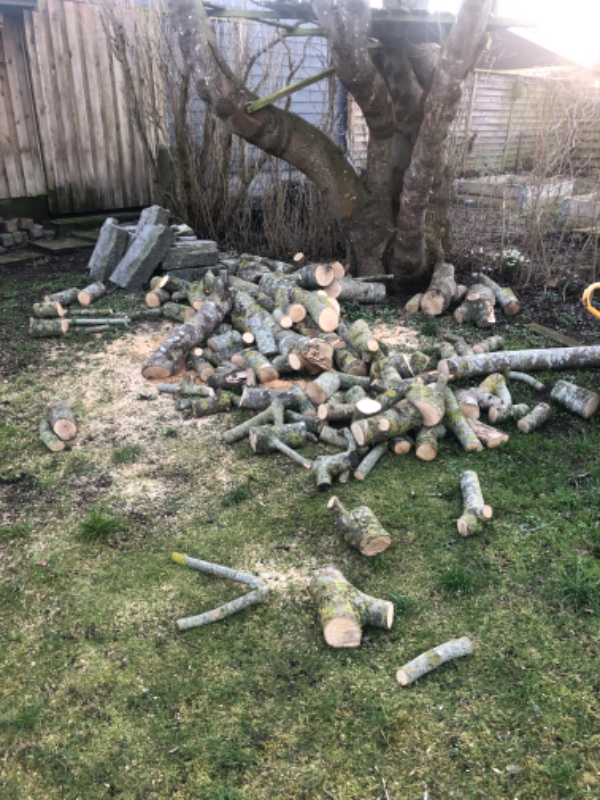 Skære/Save træ til brænde