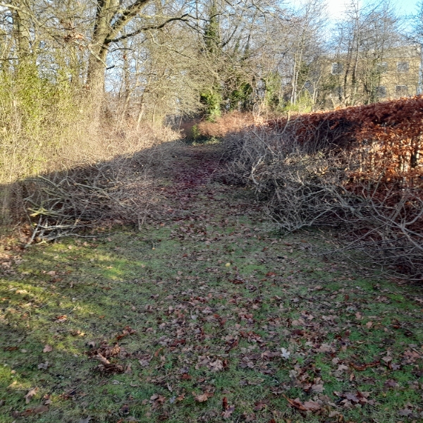 Bortkørsel af afskårne græne