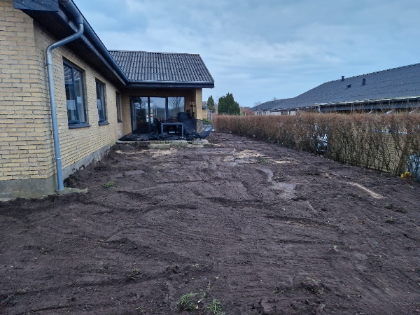 Anlæg af græsplæne