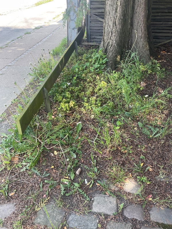 Ukrudsfjernelse foran huset (mælkebøtte, græs oh lign.)