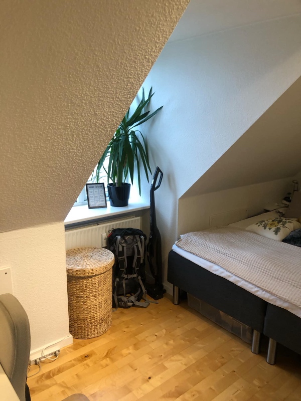 Maling af vægge og lofter