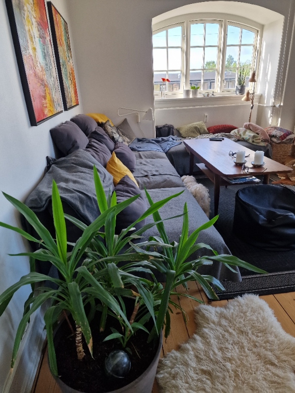 Flytte fra 80m2 lejlighed i rødovre til hus i smørum.