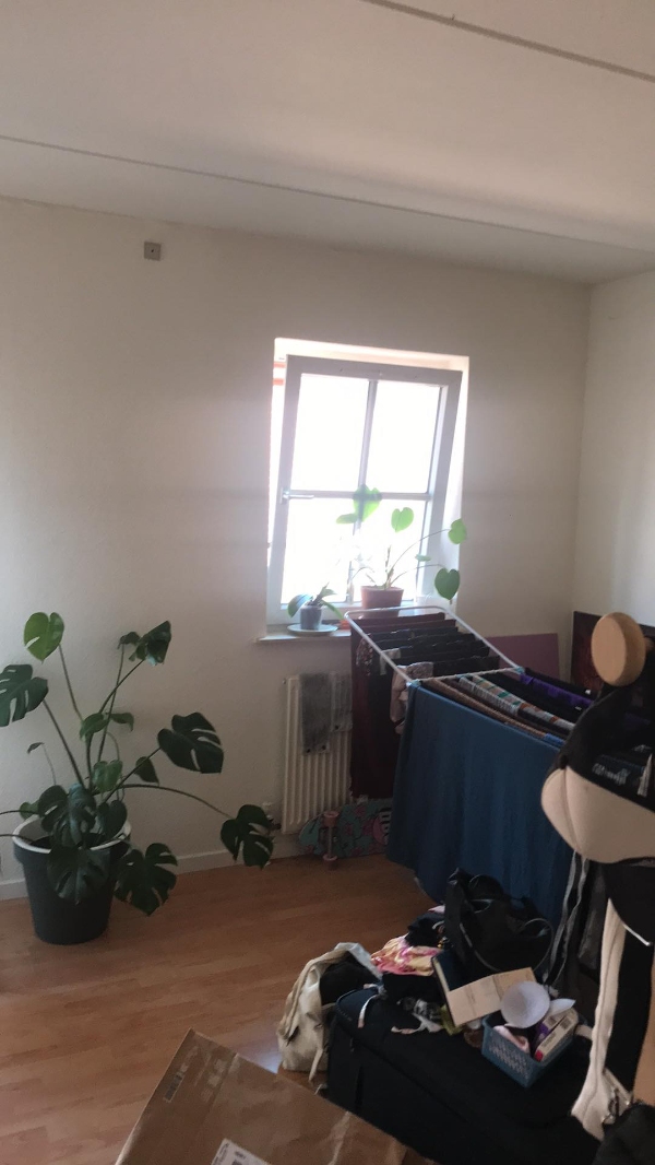 Lejligheden skal males