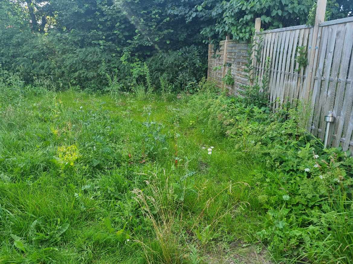 Hjælp efter overtagelse af ca 80 kvm have