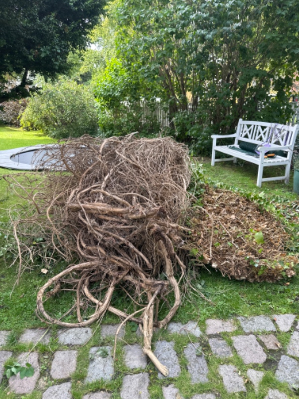 Afhentning af haveaffald